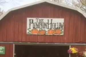 The Pumpkin Hollow