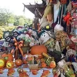 Cicconi Farms photo