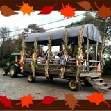 Cicconi Farms photo