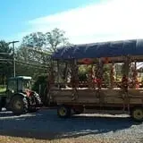 Cicconi Farms photo