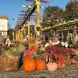 Cicconi Farms photo