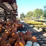 Cicconi Farms photo