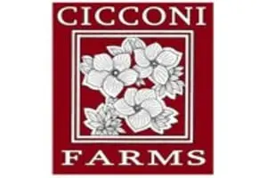 Cicconi Farms