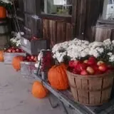 Thompson's Orchard photo