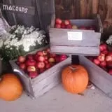 Thompson's Orchard photo