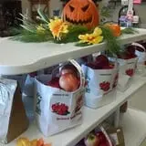 Thompson's Orchard photo