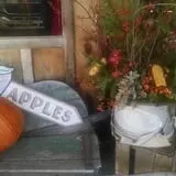 Thompson's Orchard photo