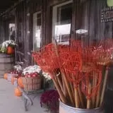 Thompson's Orchard photo