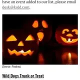 ONE STOP WILD DOGS TRUNK OR TREAT  photo