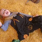 Ole McDermitt's Farm photo