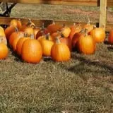 Ole McDermitt's Farm photo