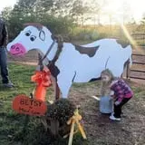 Ole McDermitt's Farm photo