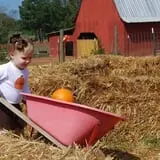 Ole McDermitt's Farm photo