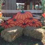 Ole McDermitt's Farm photo