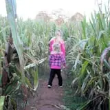 Ole McDermitt's Farm photo