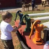 Ole McDermitt's Farm photo