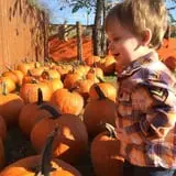 Ole McDermitt's Farm photo