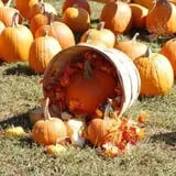 Ole McDermitt's Farm photo