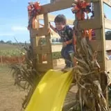 Ole McDermitt's Farm photo