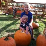 Ole McDermitt's Farm photo