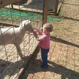 Ole McDermitt's Farm photo