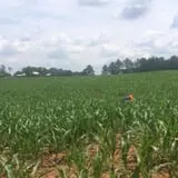 Ole McDermitt's Farm photo