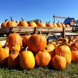 Skinny Bones Haunted Maze photo
