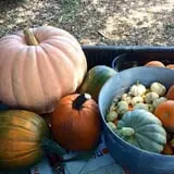Skinny Bones Haunted Maze photo
