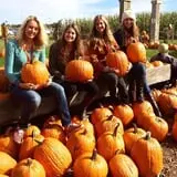 Skinny Bones Haunted Maze photo