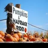 Skinny Bones Haunted Maze photo