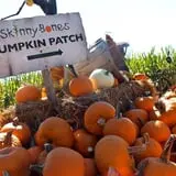 Skinny Bones Haunted Maze photo