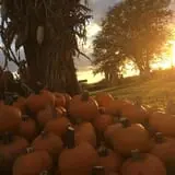 Skinny Bones Haunted Maze photo