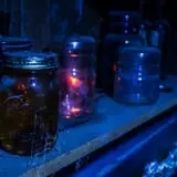 Frightmare Farms Haunted Scream Park photo