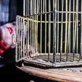 Frightmare Farms Haunted Scream Park photo