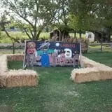 Lindners Pumpkin Farm and Corn Maze photo