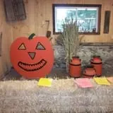 Lindners Pumpkin Farm and Corn Maze photo