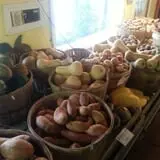 Long Hill Orchard Pick Your Own & Harvest Festival photo