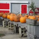 Long Hill Orchard Pick Your Own & Harvest Festival photo