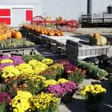 Long Hill Orchard Pick Your Own & Harvest Festival photo