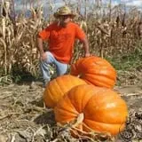 Robin's Pumpkin Paradise photo