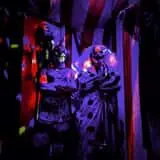 Deranged Acres photo