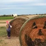 Zombie Paintball at Klausmeyer Family Farm photo