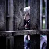 Hexed Haunted Attraction photo