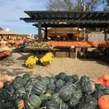 Fink's Country Farm Fall Festival photo
