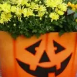 Hicks Nurseries Fall Festival photo