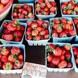 School House Farm photo