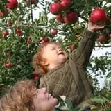 School House Farm photo