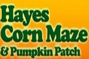 Hayes Corn Maze & Pumpkin Patch
