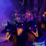 Hellbilly Holler photo