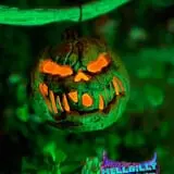 Hellbilly Holler photo